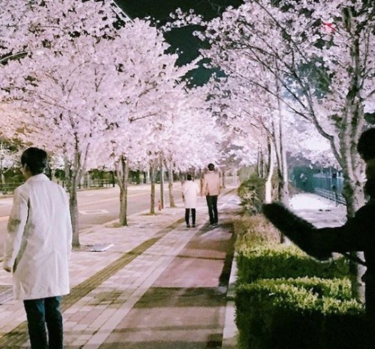 article_08204716731368_99_20160408204806