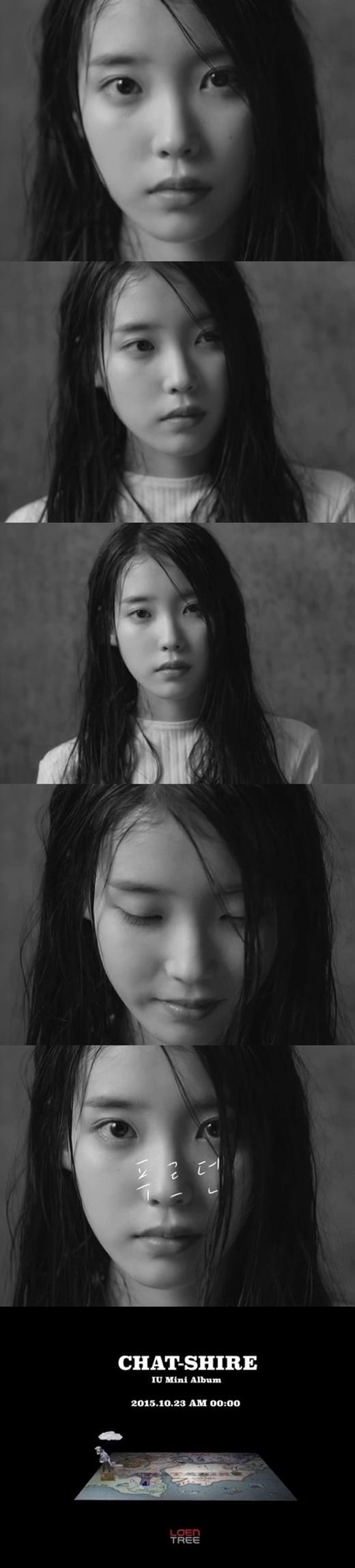 아이유 '챗셔', 제목으로 예상한 새 앨범 콘셉트[MD포커스] | 인스티즈