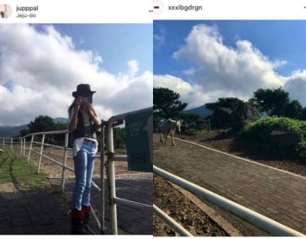 0001009581_007_20180101112930355.jpg?typ