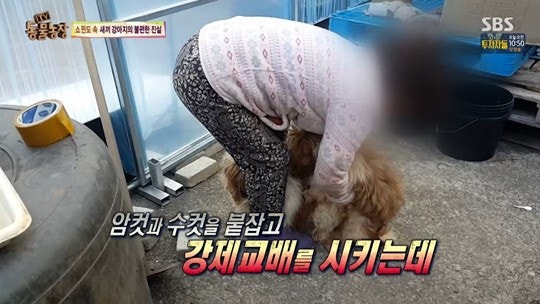 씨스타 효린, 지금까지중 가장 예쁜 모습 | 인스티즈