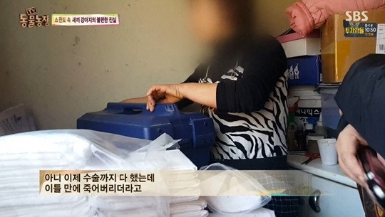 씨스타 효린, 지금까지중 가장 예쁜 모습 | 인스티즈