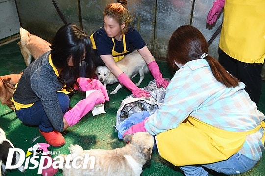 씨스타 효린, 지금까지중 가장 예쁜 모습 | 인스티즈