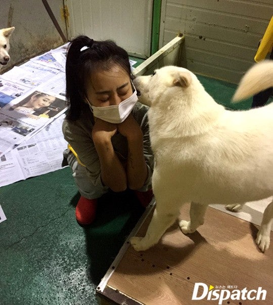 씨스타 효린, 지금까지중 가장 예쁜 모습 | 인스티즈