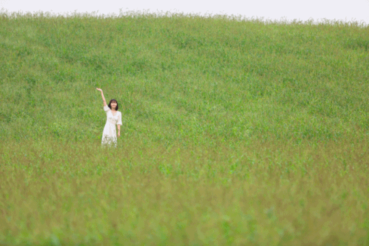 113011718__1.gif?type=w540